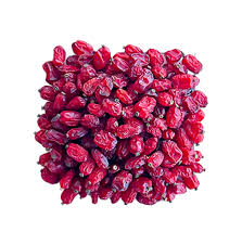 First class barberry
